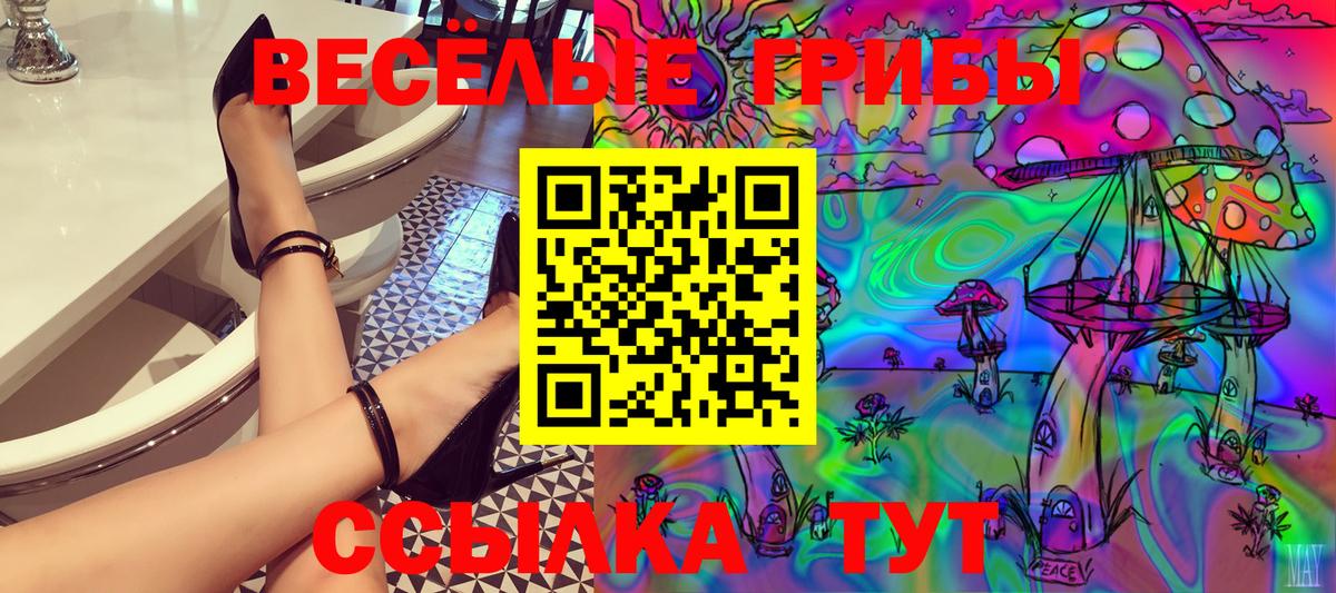 Псилоцибиновые грибы GOLDEN TEACHER Сыктывкар