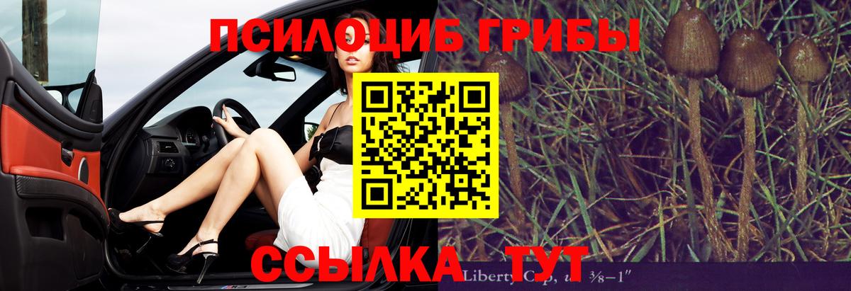 Сыктывкар  Псилоцибиновые грибы Magic Shrooms  Вход с VPN  Псилоцибиновые грибы GOLDEN TEACHER 