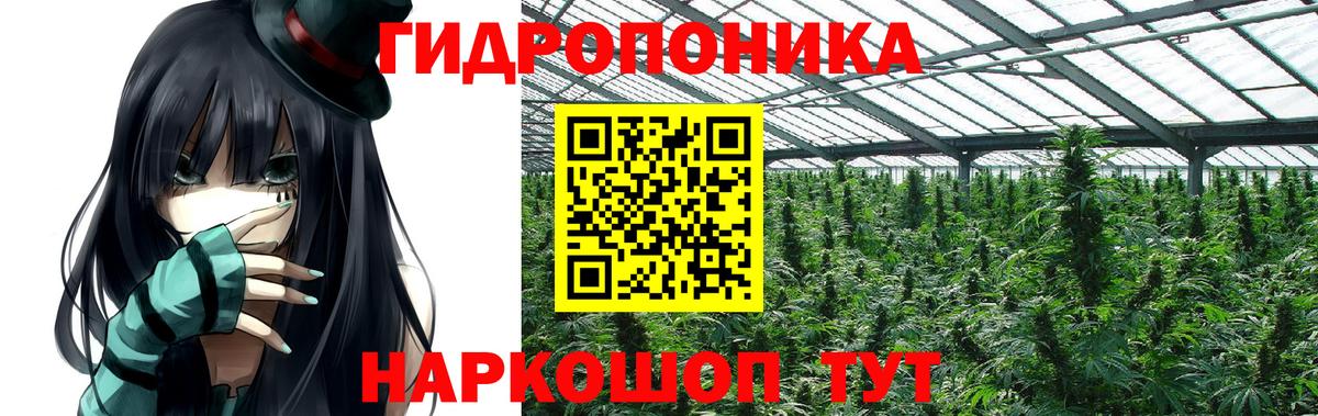 Марихуана гибрид Сыктывкар